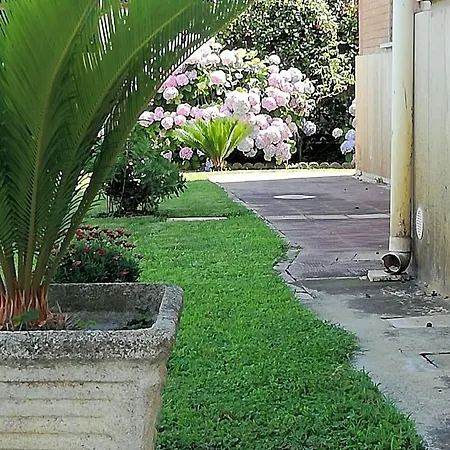 Casa Degli Ulivi Bed & Breakfast Nettuno
