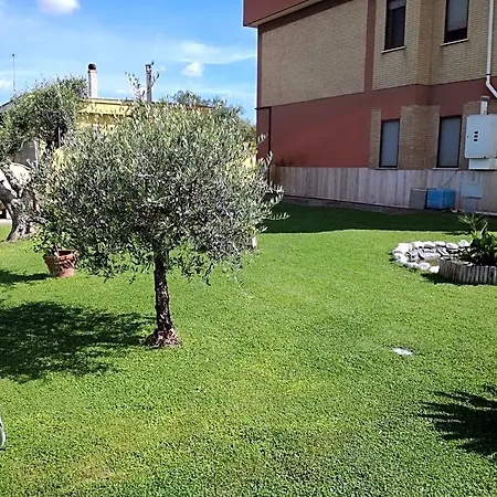 Casa Degli Ulivi Bed & Breakfast