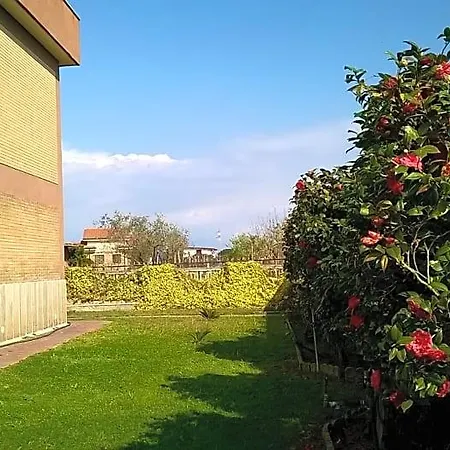 Bed & Breakfast Casa Degli Ulivi 3*