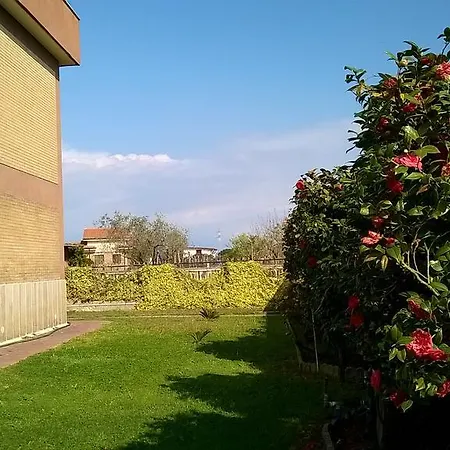 Casa Degli Ulivi Bed and Breakfast Νετούνο